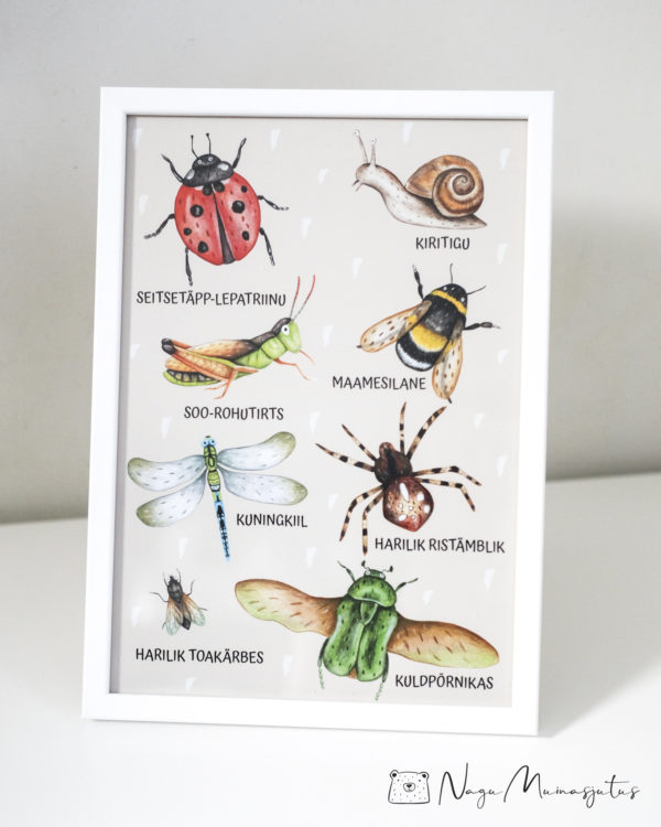 Putukatega poster, seinapilt, foto lastele, dekoratsioon lastetuppa