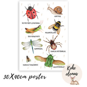 Putukatega poster