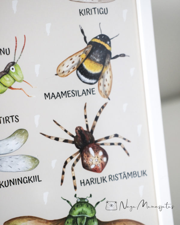 Putukatega poster, seinapilt, foto lastele, dekoratsioon lastetuppa