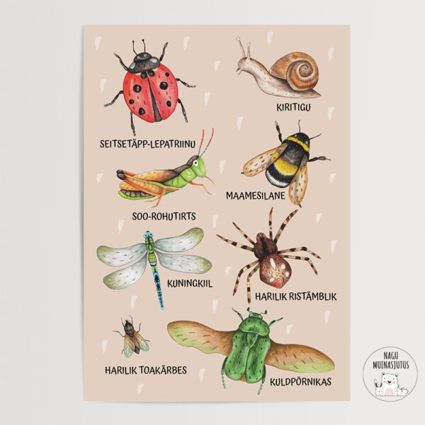 Eesti putukad poster lastetoa dekoreerimiseks