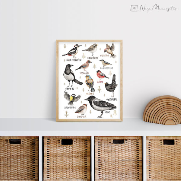 Eesti lindudega poster lastele, dekoratsioon laste tuppa, linnud