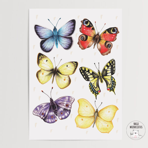 Liblikad poster, Eesti liblikatega seinapilt, dekoratsioon laste tuppa, sisustus