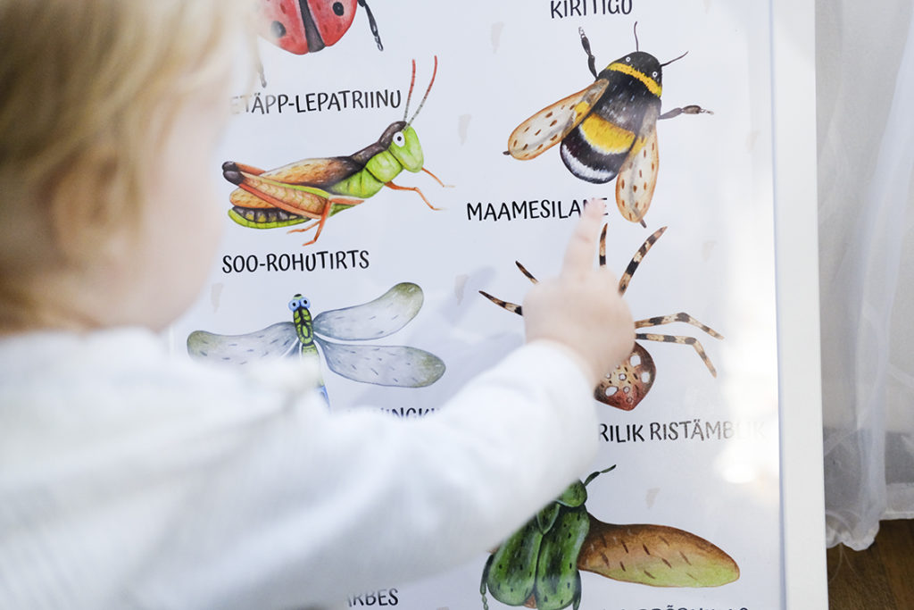 Putukatega poster